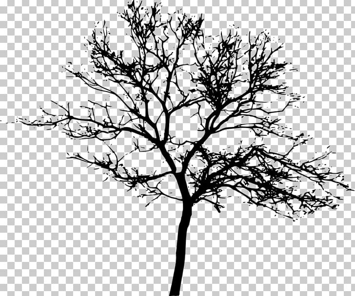 Tree Desktop PNG, Clipart, Black And White, Branch, Desktop Wallpaper, Display Resolution, Download Free PNG Download