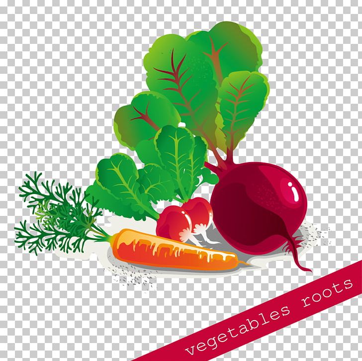 Vegetable Carrot PNG, Clipart, Food, Free, Free Logo Design Template, Free Vector, Fruit Free PNG Download