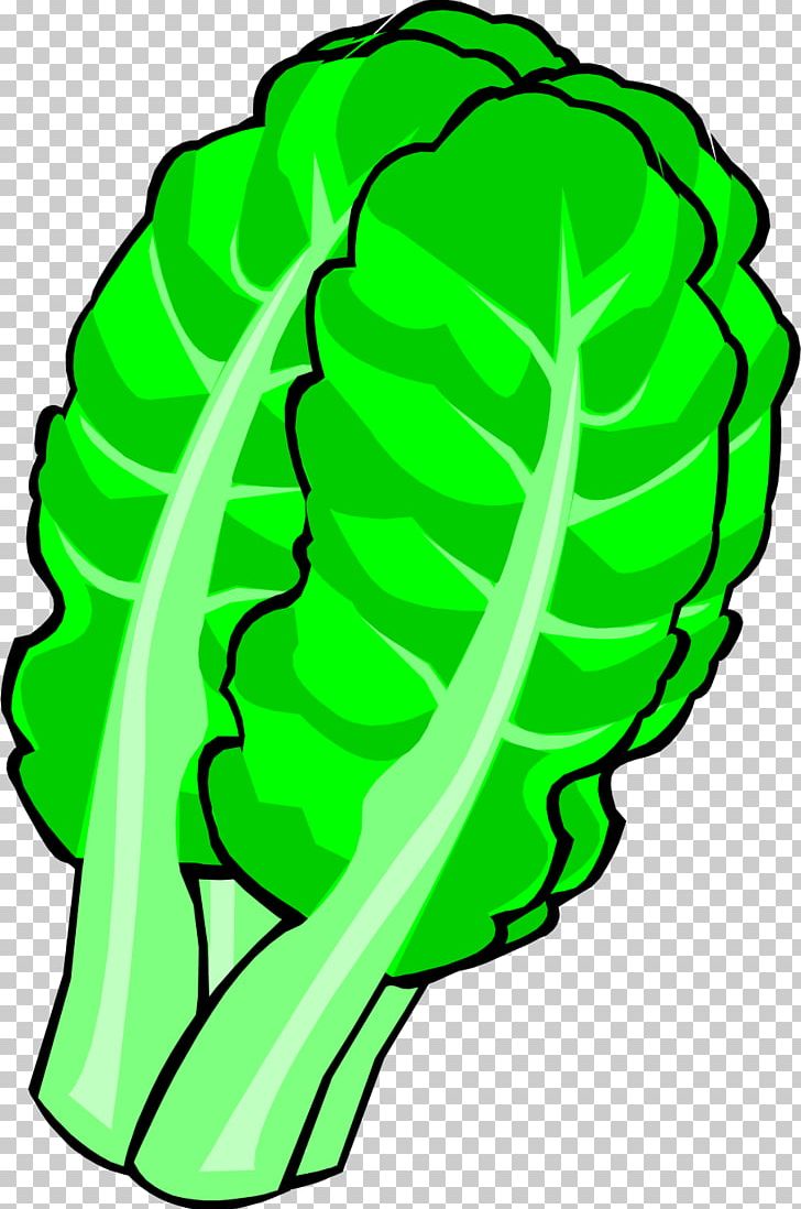 Chinese Cabbage Leaf Vegetable PNG, Clipart, Artwork, Brassica Oleracea, Cabbage, Chinese, Chinese Free PNG Download