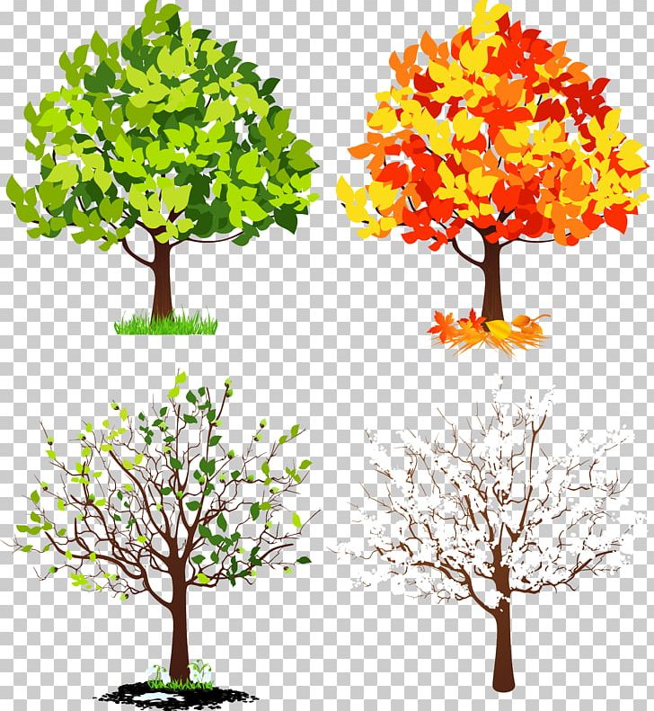 Four Seasons Hotels And Resorts Tree PNG, Clipart, Autumn, Branch, Clip Art, Flower, Flowering Plant Free PNG Download