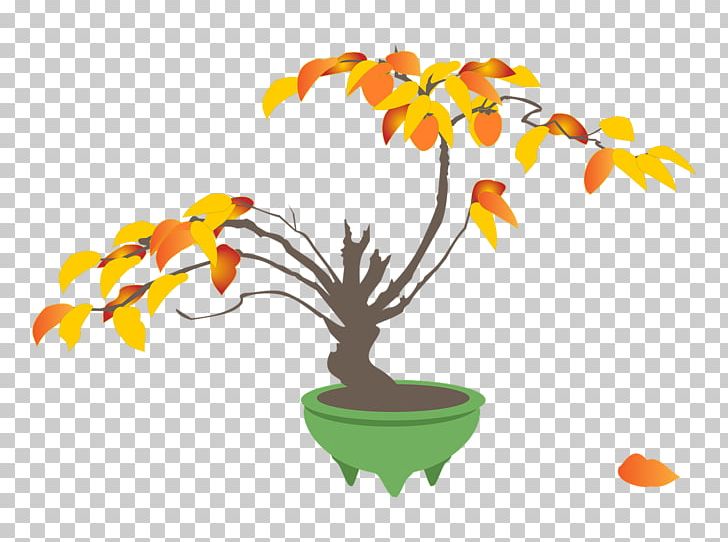 Japanese Persimmon Tree Flowerpot PNG, Clipart, Autumn, Bonsai, Branch, Flower, Flowering Plant Free PNG Download