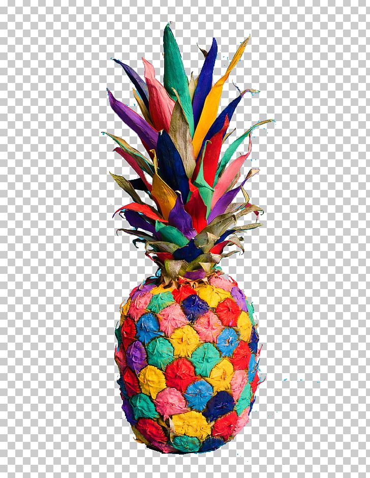 Pineapple Fruit PNG, Clipart, Ananas, Auglis, Bromeliaceae, Cartoon Pineapple, Download Free PNG Download