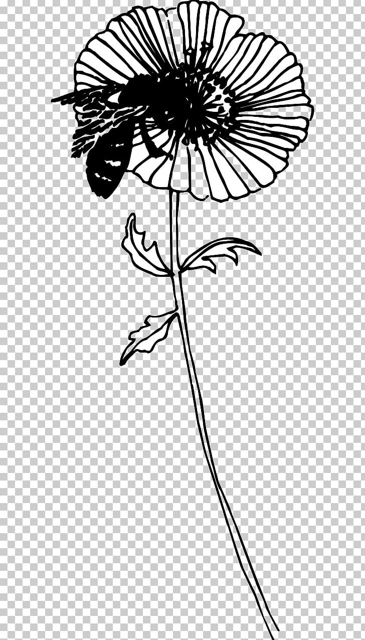 Bee Drawing Insect Floral Design Flower PNG, Clipart, Artwork, Bee, Black, Black And White, Branch Free PNG Download