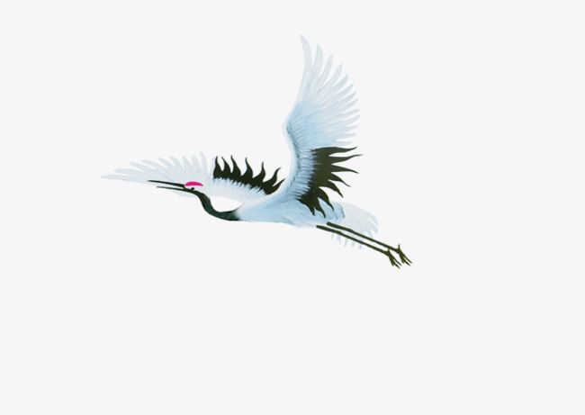 Flying Red-crowned Crane PNG, Clipart, Animal, Beak, Bird, Birds, Cartoon Free PNG Download