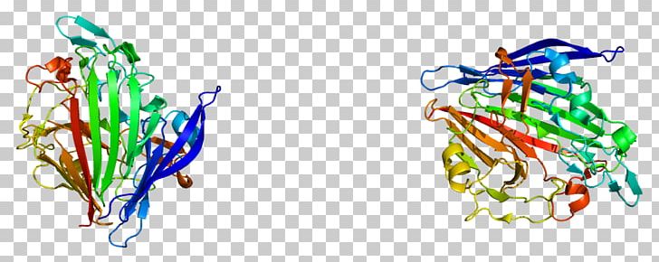 Galactose Mutarotase Aldose 1-epimerase Protein PNG, Clipart, Aldose, Anomer, Art, Carbohydrate, Encyclopedia Free PNG Download