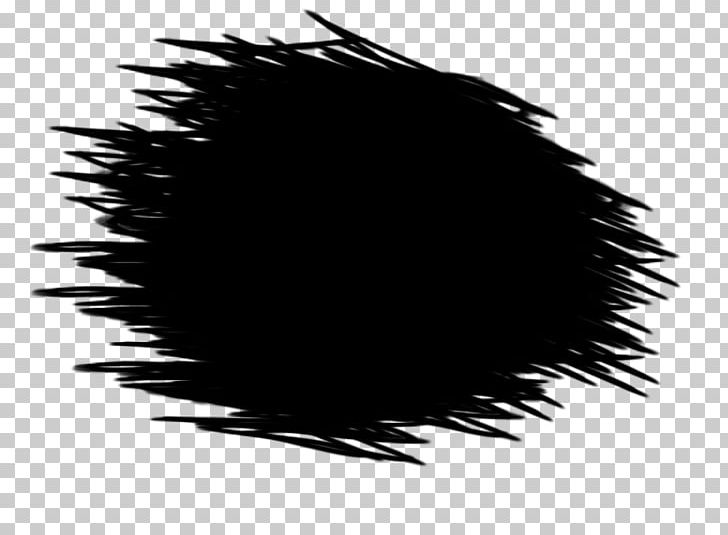 Photography PNG, Clipart, 15 October, Art, Artist, Black, Black And White Free PNG Download