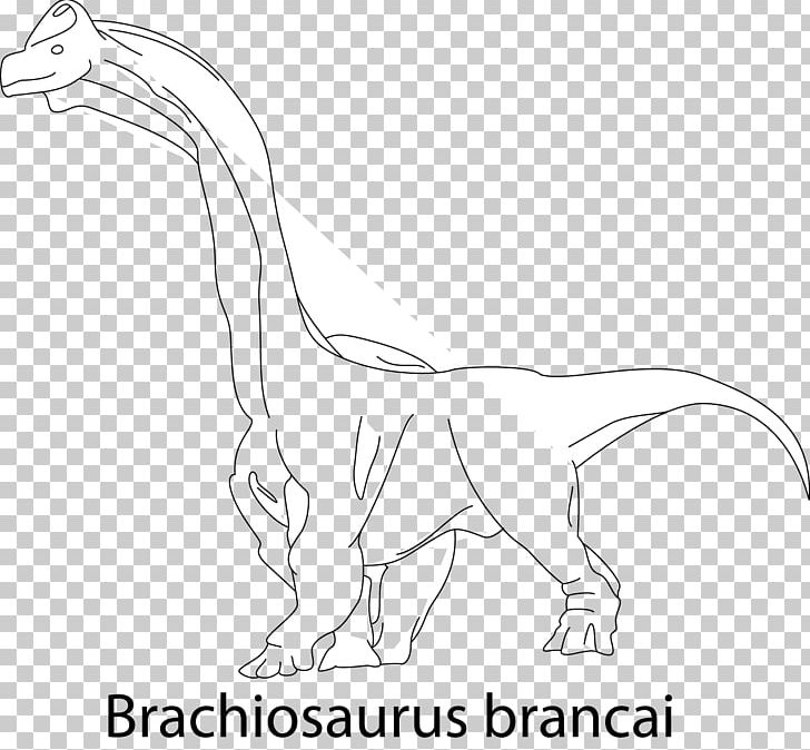 Velociraptor Line Art Animal Cartoon PNG, Clipart, Animal, Animal Figure, Artwork, Beak, Black And White Free PNG Download