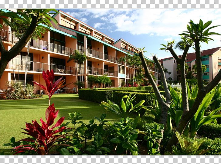 Maui Schooner Resort Hotel Scotch Mist Sailing Charters Beach PNG, Clipart, Apartment, Arecales, Beach, Building, Condominium Free PNG Download