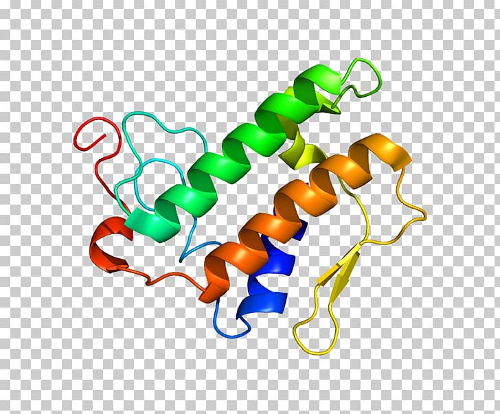 Phospholipase A2 Protein Enzyme PNG, Clipart, Animal Figure, Artwork, Body Jewelry, Cha, Colipase Free PNG Download