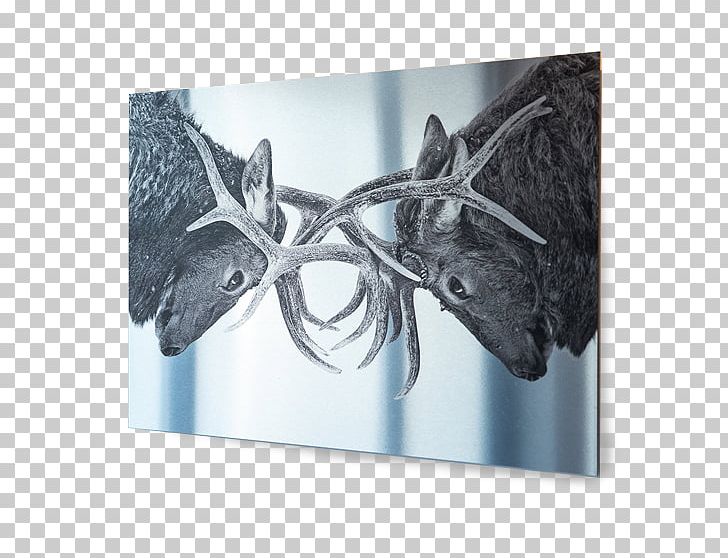 Printing Canvas Print Paper Textile Art PNG, Clipart, 3d Printing, Antler, Art, Brushed Metal, Canvas Free PNG Download