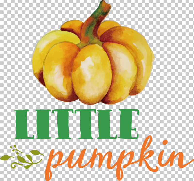 Little Pumpkin Thanksgiving Autumn PNG, Clipart, Autumn, Banana, Coconut Water, Es Kelapa Muda, Fruit Free PNG Download