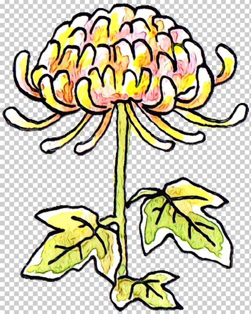 Floral Design PNG, Clipart, Chrysanthemum, Cut Flowers, Floral Design, Flower, Meter Free PNG Download