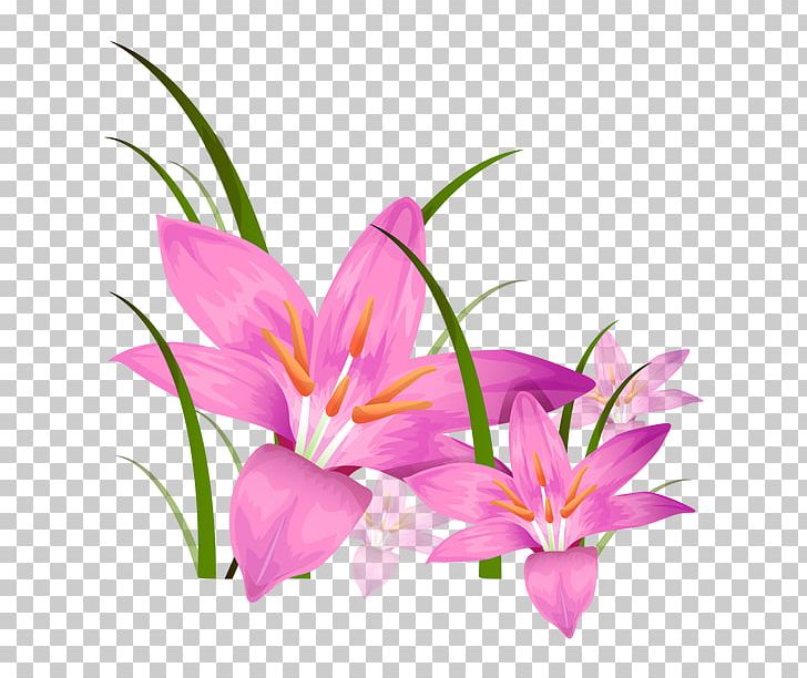 Animation Photography Illustration PNG, Clipart, Can Stock Photo, Crocus, Cut Flowers, Desktop Wallpaper, Flor Free PNG Download