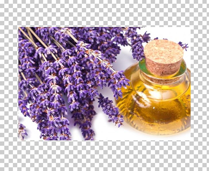 Lavender Oil Essential Oil Foot Odor PNG, Clipart, Antiseptic, Aroma Compound, Aromatherapy, Carrier Oil, English Lavender Free PNG Download