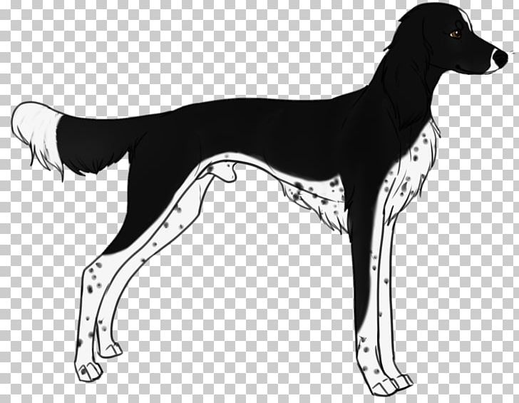 Saluki Italian Greyhound Sloughi Whippet PNG, Clipart, 08626, Animal Sports, Azawakh, Black And White, Breed Free PNG Download