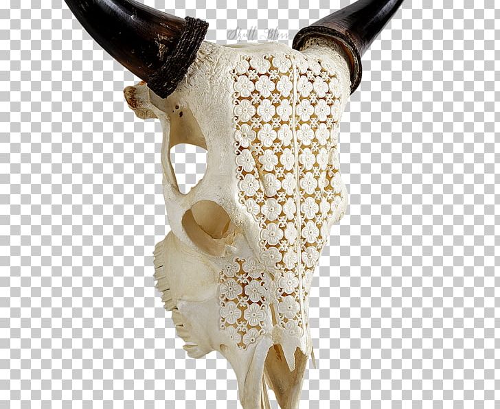 Skull Flower Garden Bone Horn PNG, Clipart, American Bison, Bison, Bone, Cattle, Color Free PNG Download