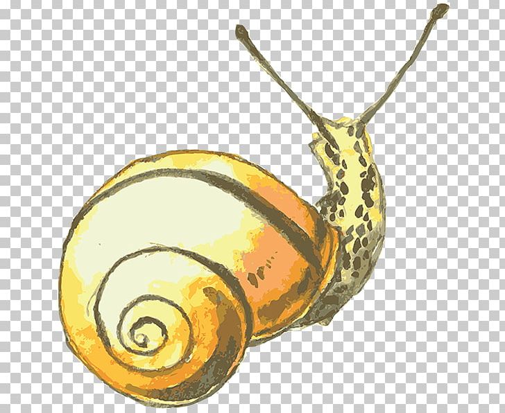 Snail Drawing Watercolor Painting PNG, Clipart, Achatina Achatina, Animals, Cartoon, Download, Drawing Free PNG Download