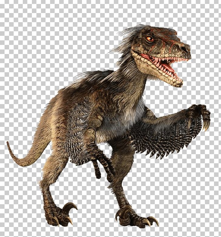Velociraptor Feathered Dinosaur Tyrannosaurus Dromaeosaurids PNG, Clipart, Cardboard, Cretaceous, Cutout, Dinosaur, Extinction Free PNG Download