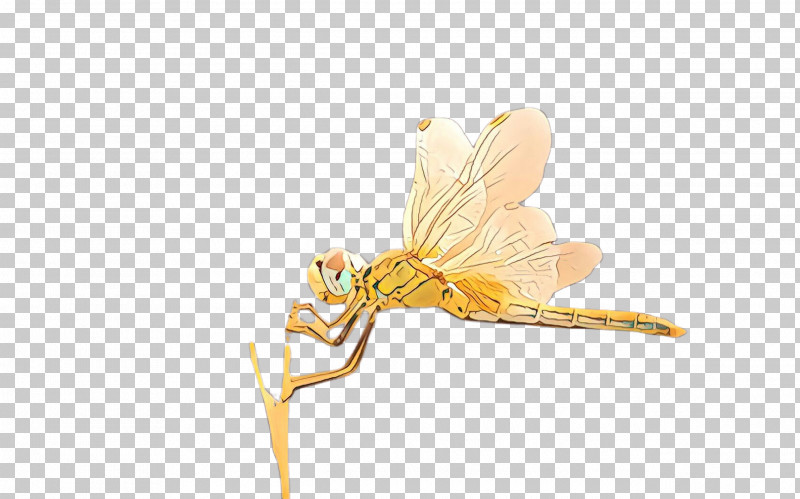 Insect Dragonflies And Damseflies Dragonfly Pest Yellow PNG, Clipart, Damselfly, Dragonflies And Damseflies, Dragonfly, Insect, Mayflies Free PNG Download