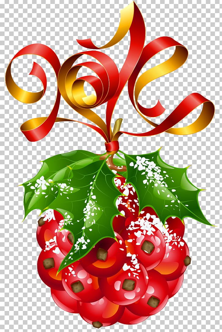 Christmas Ornament New Year Card PNG, Clipart, Aquifoliaceae, Aquifoliales, Berry, Christmas, Christmas And Holiday Season Free PNG Download