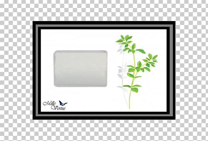Leaf Frames Rectangle Tree PNG, Clipart, Flower, Glycerin Soap, Green, Leaf, Picture Frame Free PNG Download