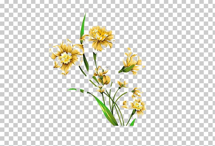 Narcissus Tazetta Watercolor Painting Flower Drawing PNG, Clipart, Botanical Illustration, Chrysanths, Cut Flowers, Daffodil, Dahlia Free PNG Download