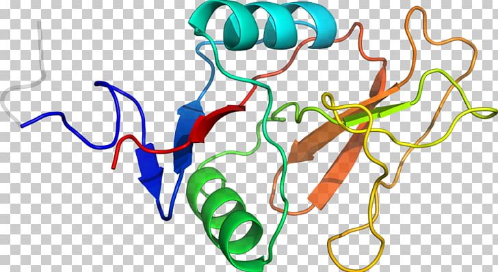 Organism Line Product PNG, Clipart, Area, Art, Artwork, Line, Organ Free PNG Download