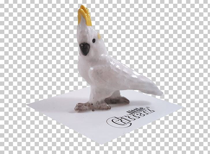 Sulphur-crested Cockatoo Bird Animal Figurine PNG, Clipart, Animal, Animal Figurine, Animals, Beak, Bird Free PNG Download
