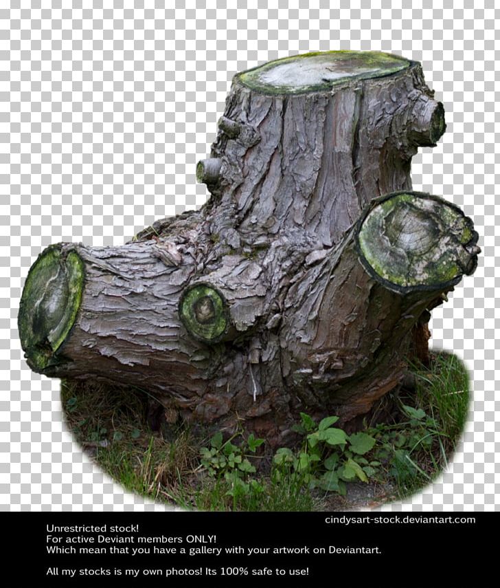 Tree Stump Trunk PNG, Clipart, Art, Artifact, Download, Encapsulated Postscript, Nature Free PNG Download