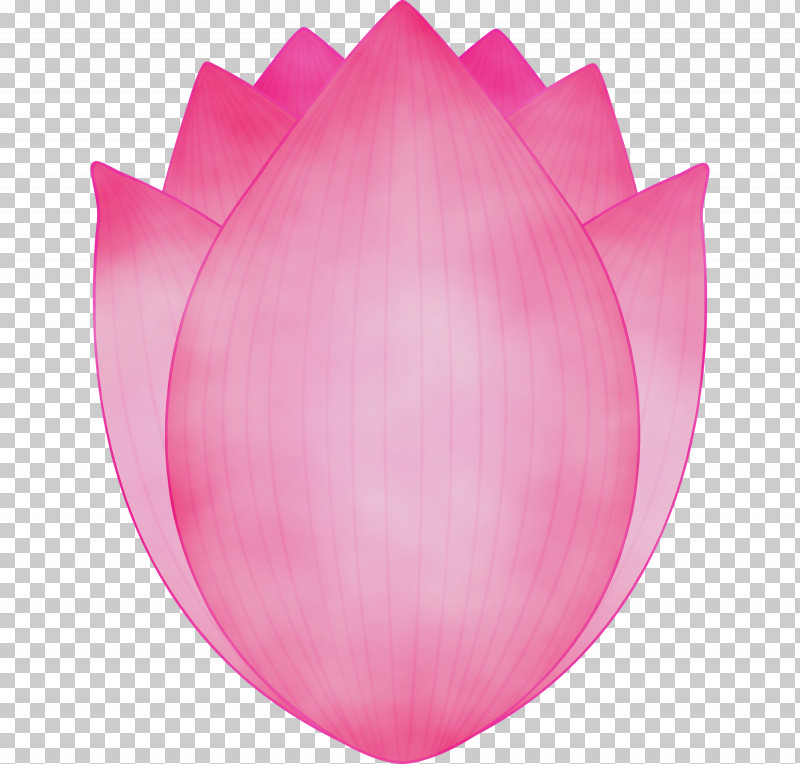 Pink Petal Tulip Magenta Plant PNG, Clipart, Flower, Lily Family, Lotus, Magenta, Paint Free PNG Download