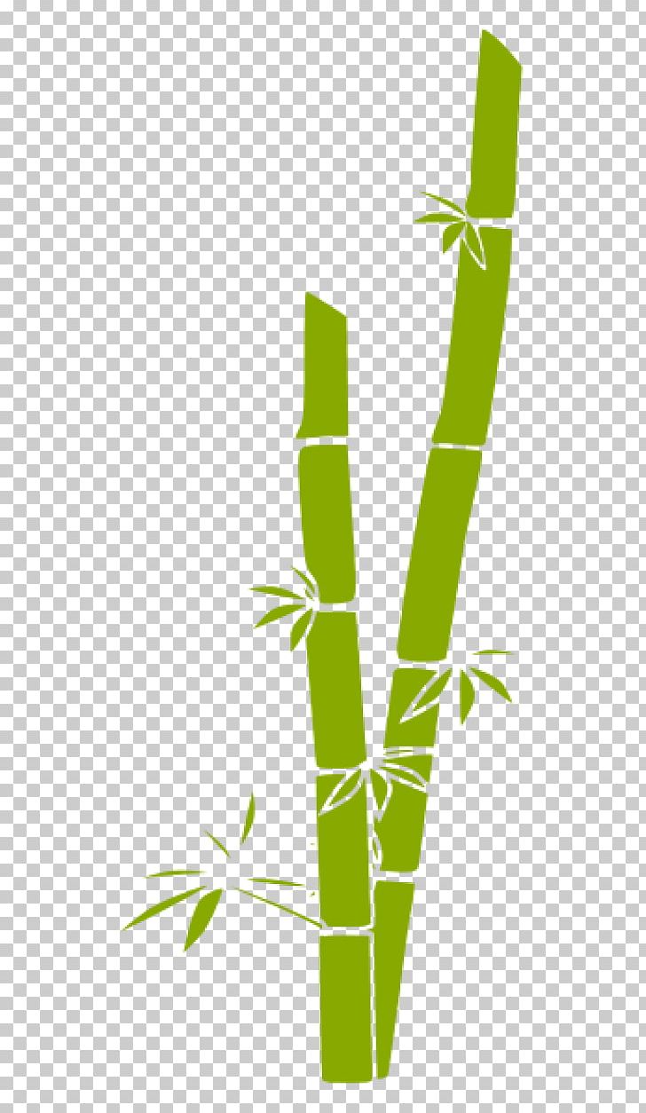 Bamboo Grasses PNG, Clipart, Angle, Bamboo, Computer Icons, Download, Energy Free PNG Download