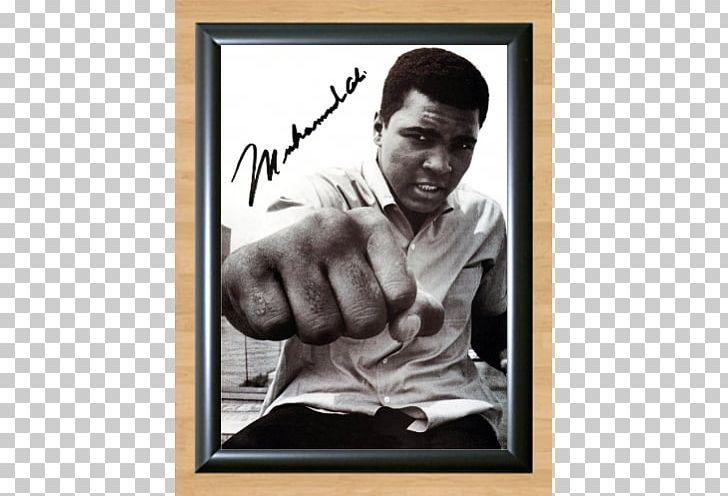 Muhammad Ali Boxing Apple Heavyweight Athlete PNG, Clipart, Apple, Athlete, Autograph, Boxing, Collectable Free PNG Download