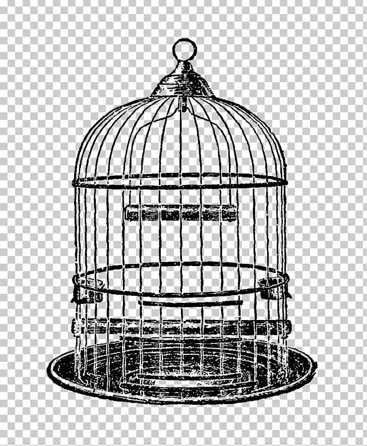Parrot Birdcage PNG, Clipart, Animals, Antique, Bird, Birdcage, Black And White Free PNG Download