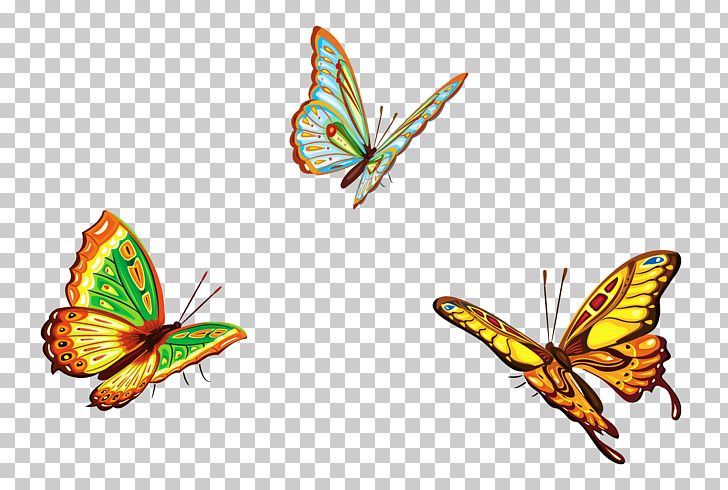 Butterfly Euclidean Graphic Design Illustration PNG, Clipart, Brush Footed Butterfly, Butterflies, Butterfly, Clipart, Desktop Wallpaper Free PNG Download