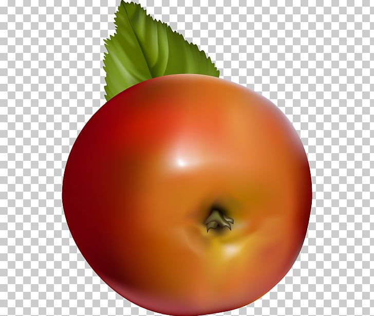 Tomato Apple Fruit PNG, Clipart, Apple, Apple Fruit, Apple Logo, Apples, Apple Tree Free PNG Download