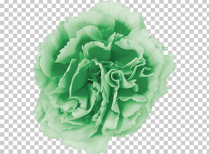 Cut Flowers Carnation Cabbage Rose Pink Flowers PNG, Clipart, Artificial Flower, Bud, Cabbage Rose, Carnation, Cut Flowers Free PNG Download