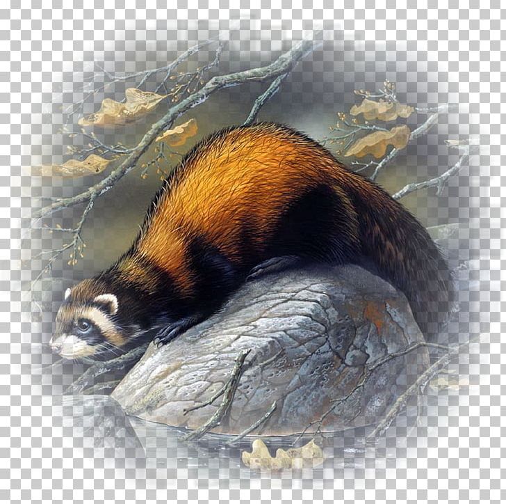 European Polecat Embroidery Horse Painting Painter PNG, Clipart, Anaconda, Animal, Animals, Art, Bead Free PNG Download
