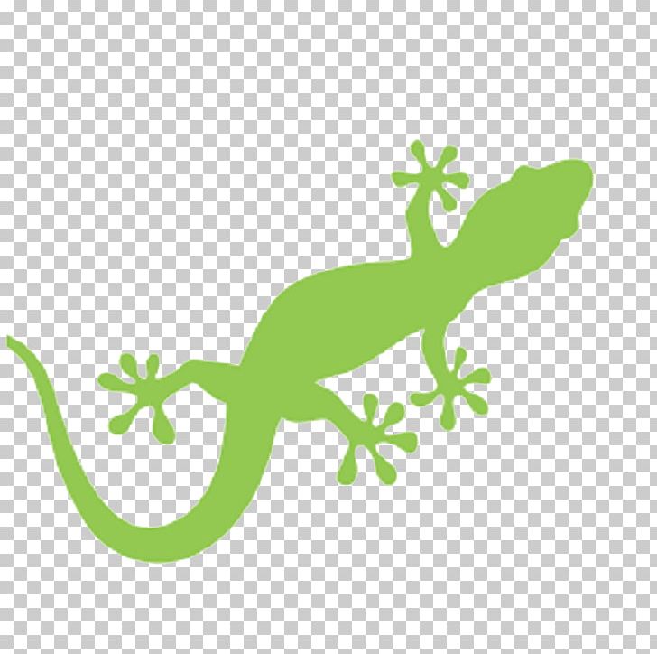 Lizard Gecko PNG, Clipart, Amphibian, Animals, Common Leopard Gecko, Drawing, Fauna Free PNG Download