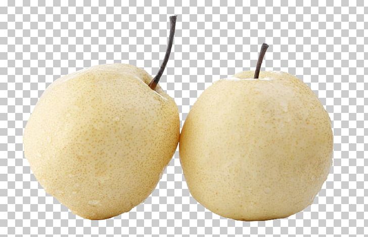 Asian Pear PNG, Clipart, Asian Pear, Close, Food, Free, Fruit Free PNG Download