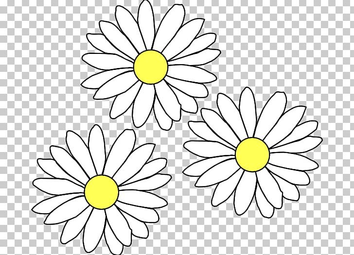 Common Daisy PNG, Clipart, Area, Art, Artwork, Black And White, Chrysanths Free PNG Download