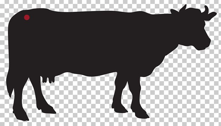 Jersey Cattle Holstein Friesian Cattle Dairy Farming Ox PNG, Clipart, Beef, Black And White, Bull, Cattle, Cattle Like Mammal Free PNG Download