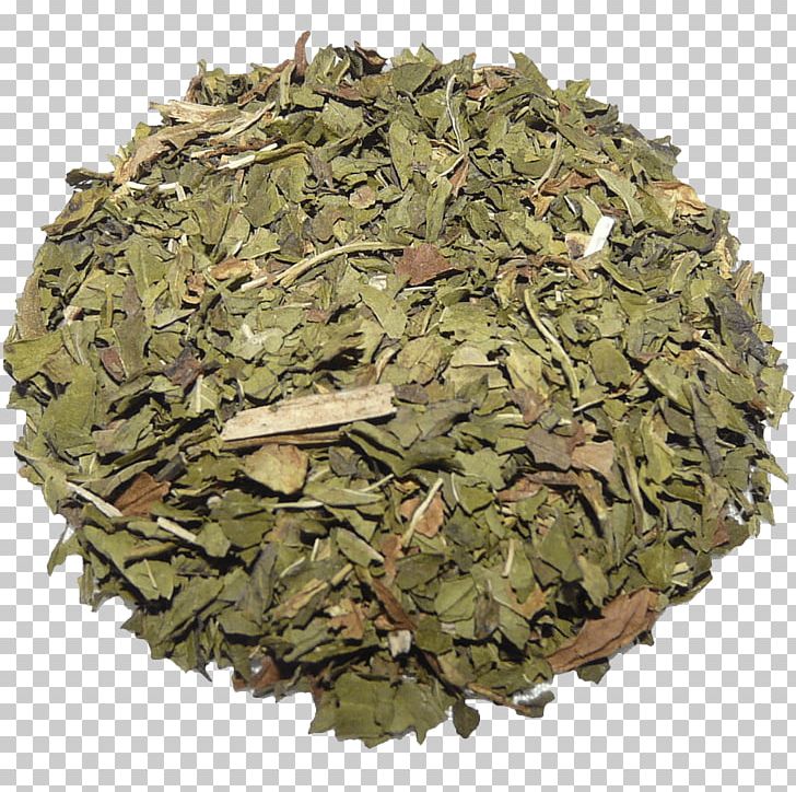 Matcha Flowering Tea Green Tea Organic Food PNG, Clipart, Bancha, Flavor, Flowering Tea, Food Drinks, Ginger Tea Free PNG Download