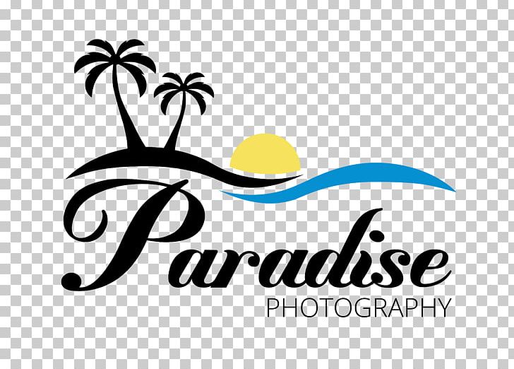 St Lucia Stars Portrait Paradise Photography Graphic Design PNG, Clipart, Andre Fletcher, Area, Artwork, Brand, Cricket Free PNG Download