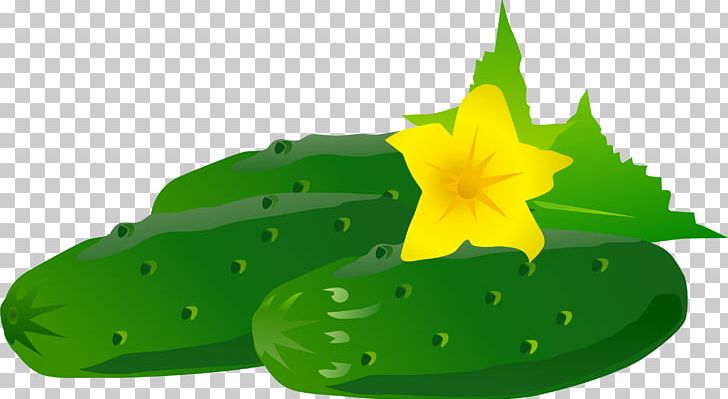 Cucumber Fruit PNG, Clipart, Atmosphere, Computer Icons, Cucumber, Flower, Flowers Free PNG Download