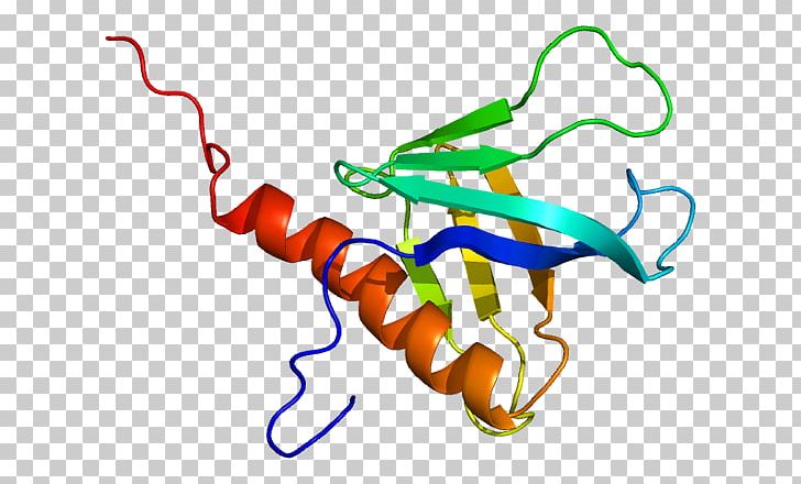 DDEF1 Protein Gene Pleckstrin Homology Domain Ankyrin Repeat PNG, Clipart, 2 D, Artwork, D 1, Gene, General Transcription Factor Free PNG Download