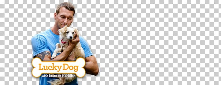 Microphone PNG, Clipart, Dog Doctor, Microphone Free PNG Download