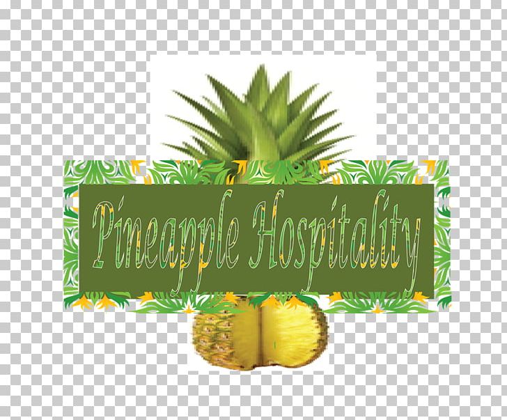 Pineapples PNG, Clipart, Ananas, Bromeliaceae, Food, Fruit, Fruit Nut Free PNG Download