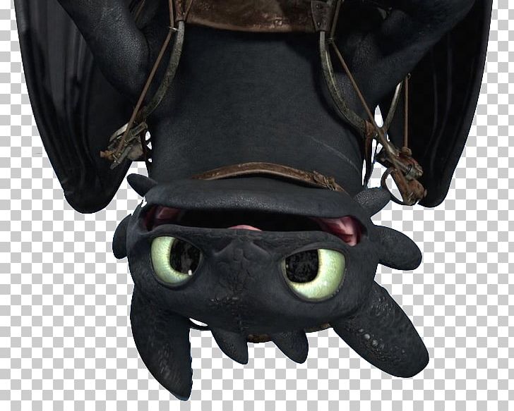 Hiccup Horrendous Haddock III T-shirt How To Train Your Dragon Toothless Hoodie PNG, Clipart, Astrid, Clothing, Dragon, Dragons Gift Of The Night Fury, Dragons Riders Of Berk Free PNG Download