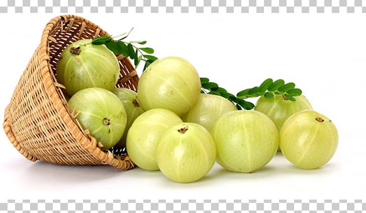 Indian Gooseberry Health Herb Myrobalan PNG, Clipart, Apple, Ayurveda, Diet Food, Food, Fruit Free PNG Download