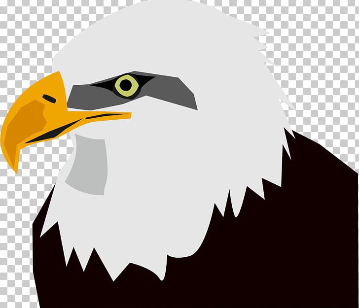 Bald Eagle Bird PNG, Clipart, Accipitriformes, Animals, Art, Bald Eagle, Beak Free PNG Download